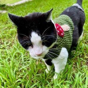 Crochet Mushroom Cat Sweater